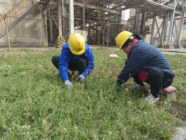 3月22日，行政保衛(wèi)部馬師傅和孫師傅在道路兩旁清除雜草。.jpg