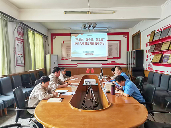 4月11日，渭河塑業(yè)公司全體黨員集中學習中央八項規(guī)定精神.jpg