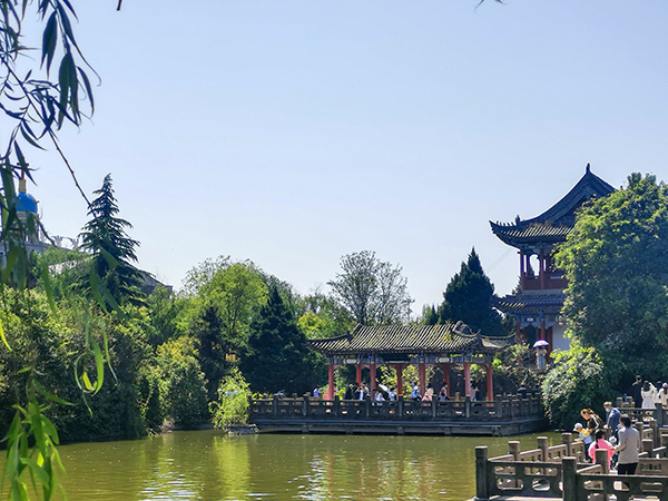 東湖內(nèi)湖之遠(yuǎn)觀凌虛臺，5月2日拍.jpg